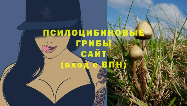 spice Бугульма