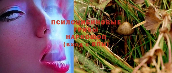 скорость Бронницы
