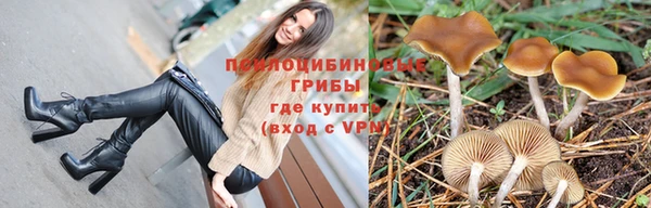 мяу мяу мука Бородино