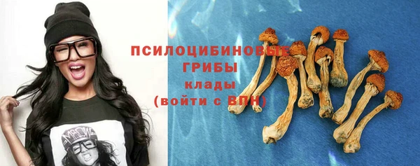 скорость Бронницы
