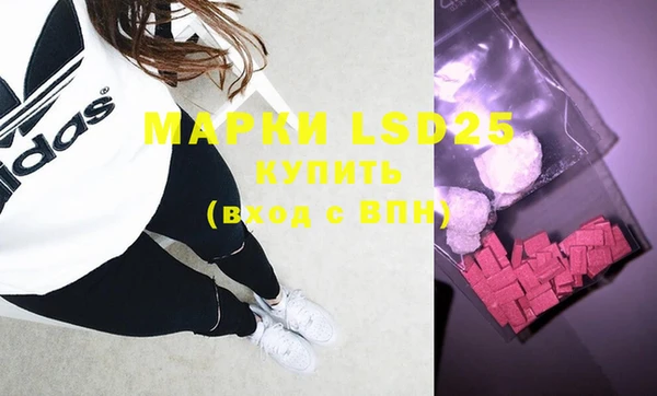 мяу мяу мука Бородино