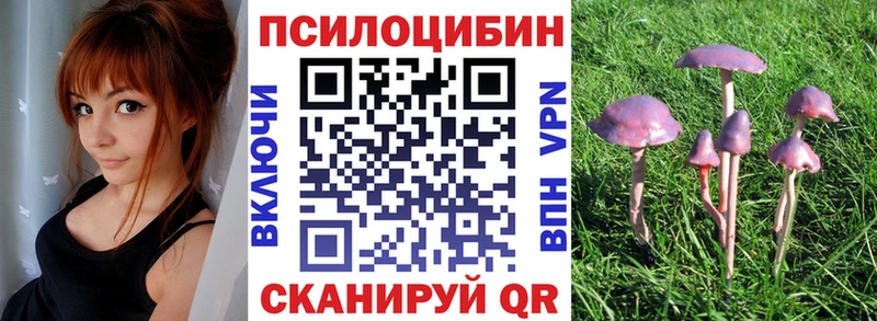 Галлюциногенные грибы Psilocybe  наркотики  ОМГ ОМГ зеркало  Луга 